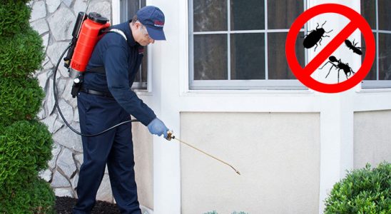 Alucra Hamam Böceği İlaçlama böcek ilaçlama ve haşere kontrolü — ilaclama-tr.com